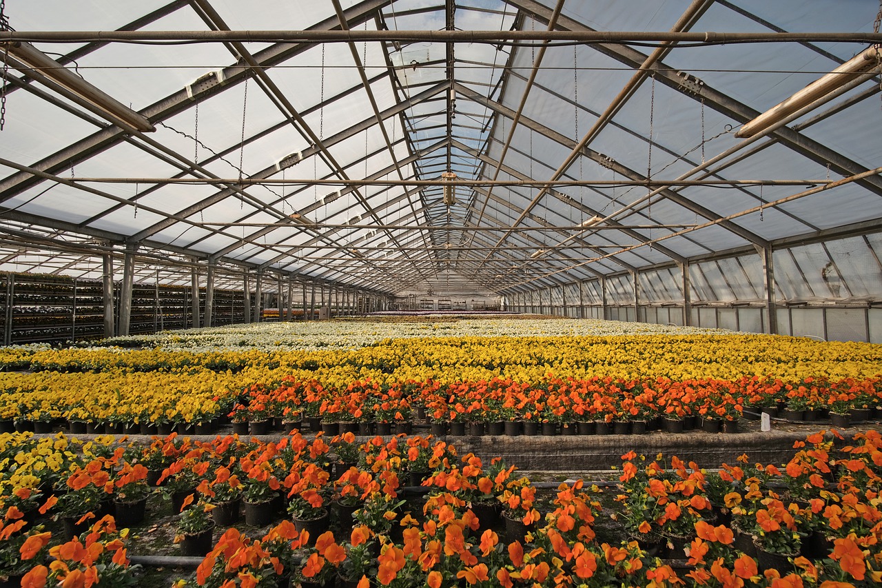 Agricultural Greenhouse Complex